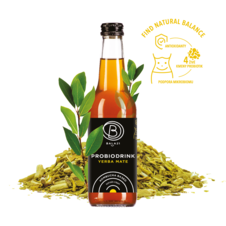 probiodrink_kombucha_yerba_rejfood