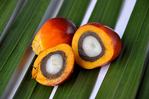 Palmový olej ano či ne?